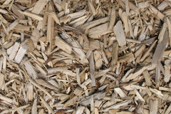biomass boilers Ruffs