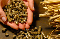 free Ruffs biomass boiler quotes